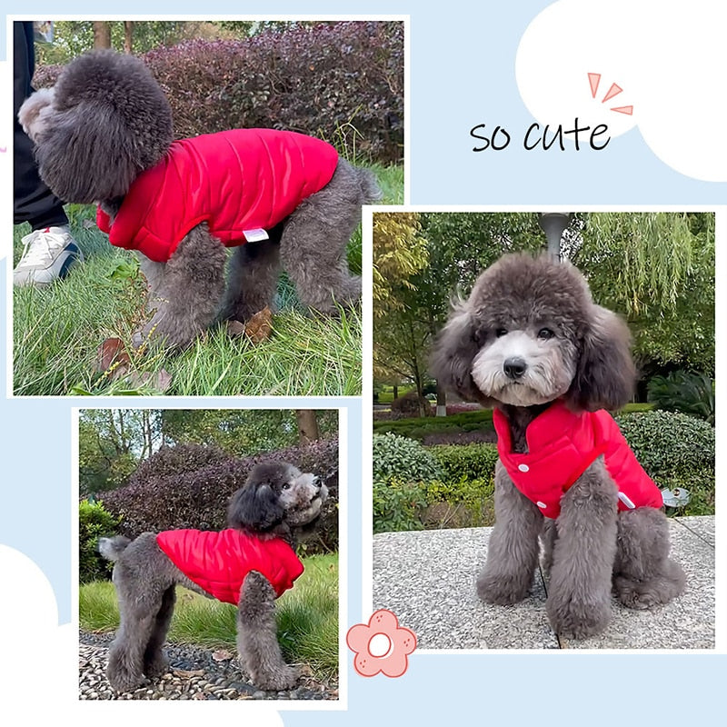 Winter Warmth Pet Vest 2024