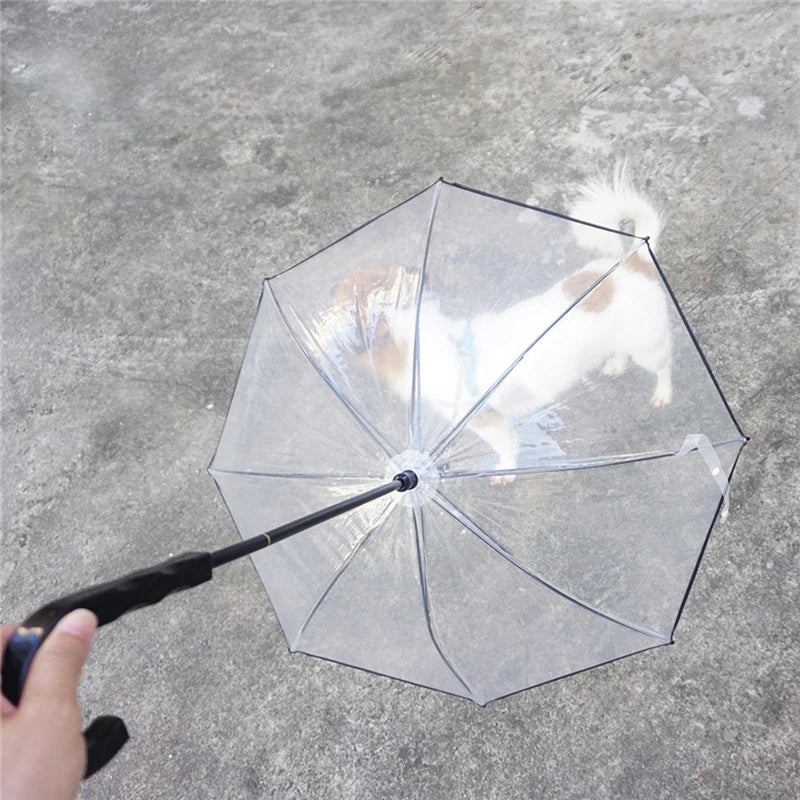 Pet Umbrella with Leash – All-Weather Protection for Small Dogs