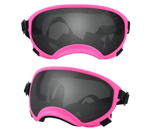 PawShield UV-Protective Dog Goggles 2025