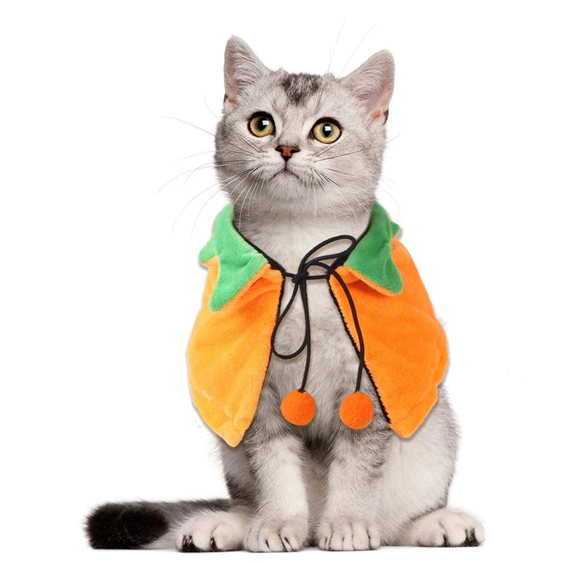 Halloween Pumpkin Pet Cape for Cats and Dogs 2025