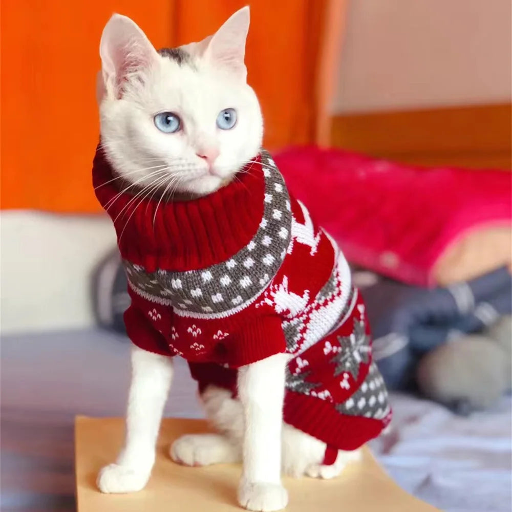 Cat Sweater Autumn Winter