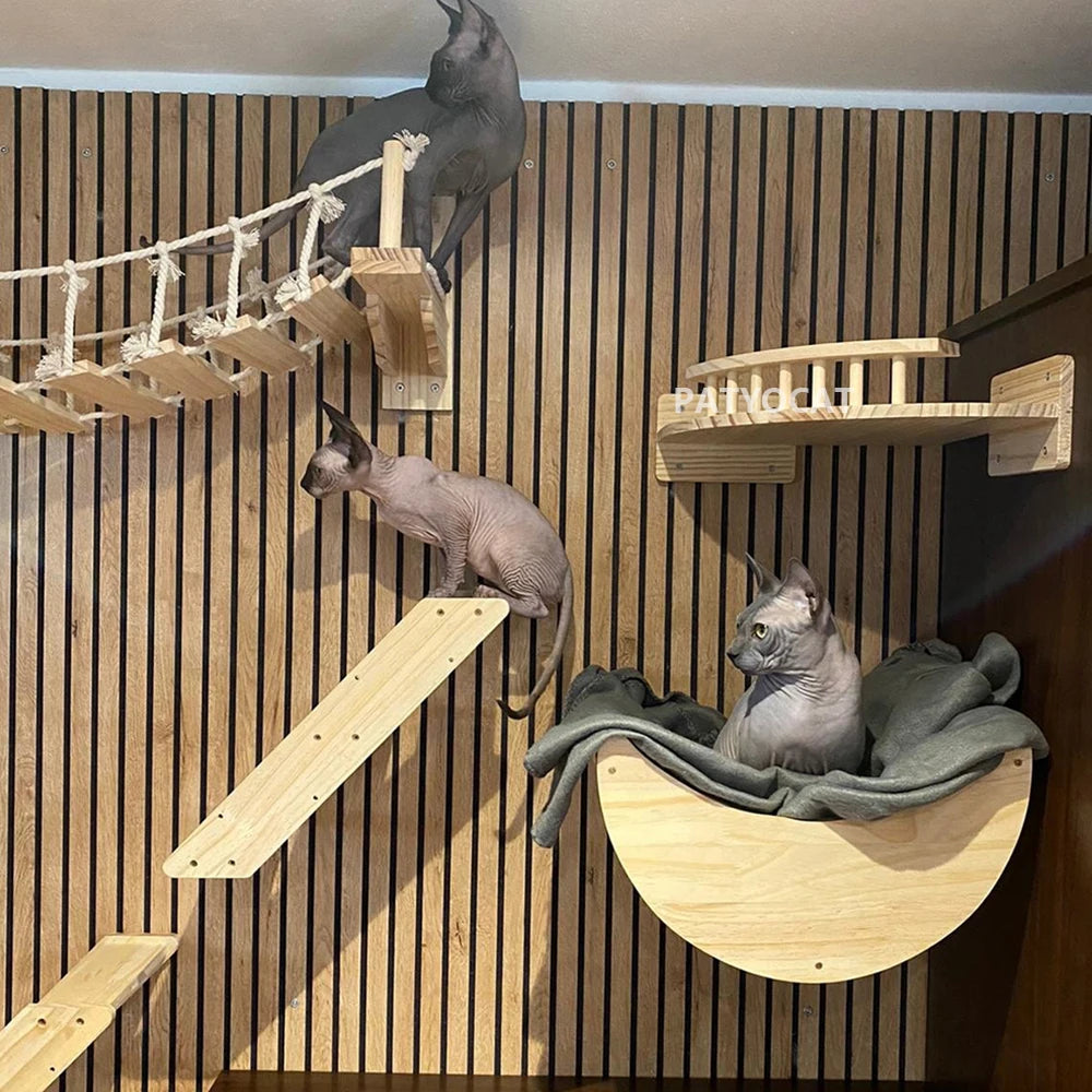 Cat Wall Bridge and Wooden Climbing Shelves