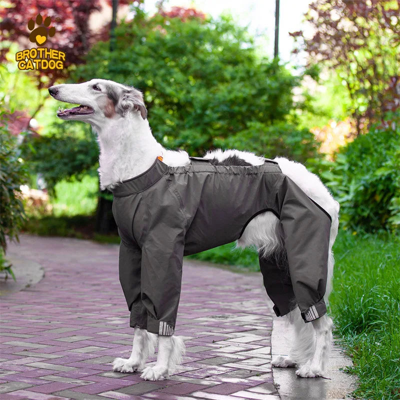 All-Weather Adjustable Dog Raincoat with Integrated Hood