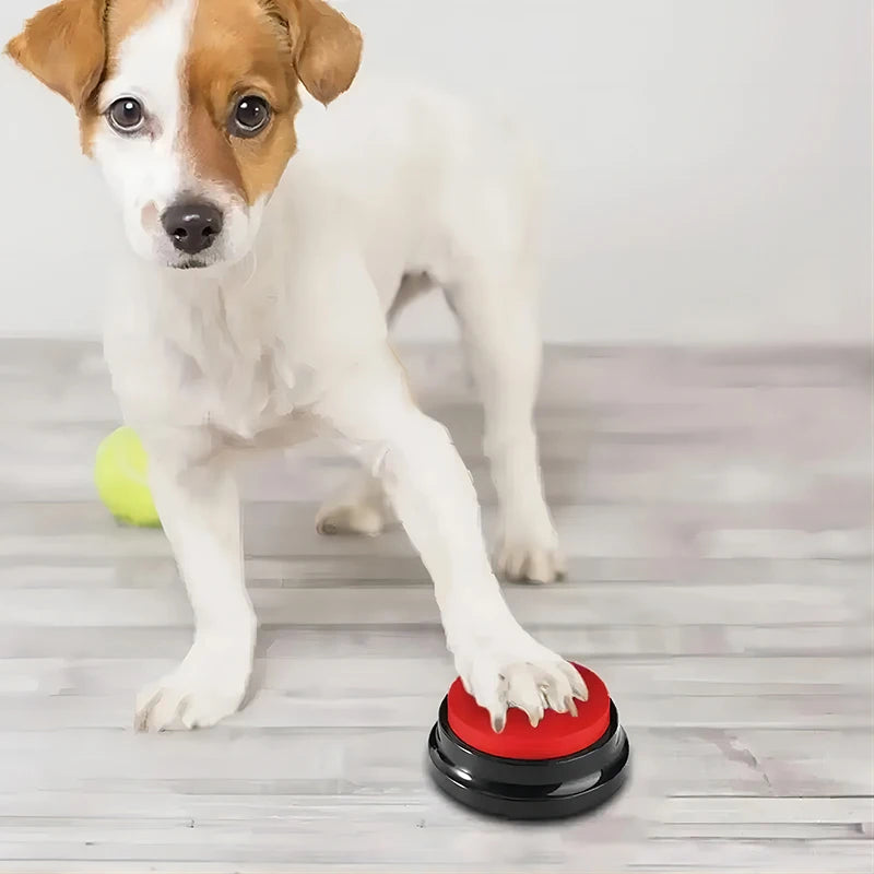 2024 Dog Recordable Talking Buttons | Interactive Pet Communication Starter Kit