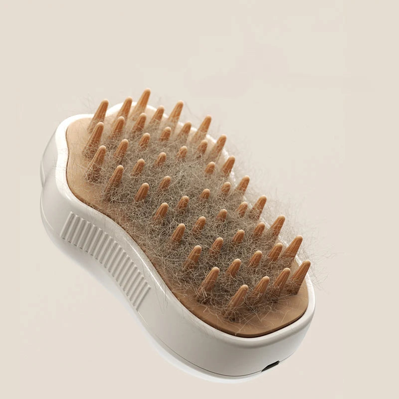 3-in-1 Cat Grooming Brush with Steam & Spray