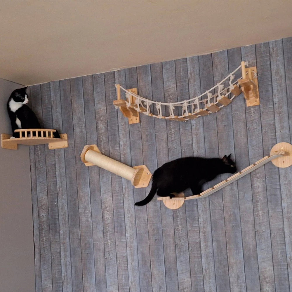 Cat Wall Bridge and Wooden Climbing Shelves