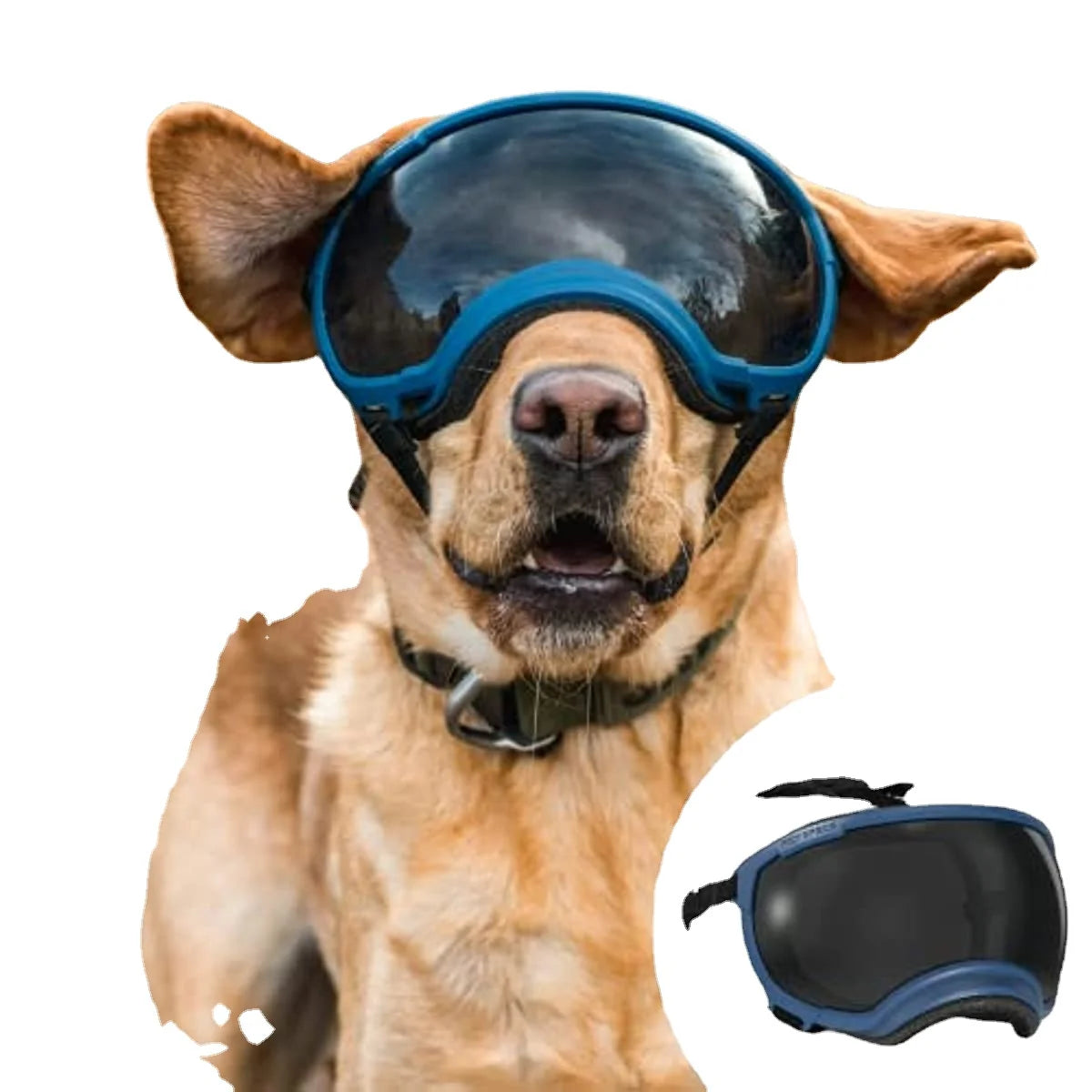 PawShield UV-Protective Dog Goggles 2025